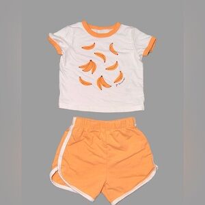 Focus Organic Cotton T-Shirt & Shorts Set | Toddler Girl | 18 Months | Like New
